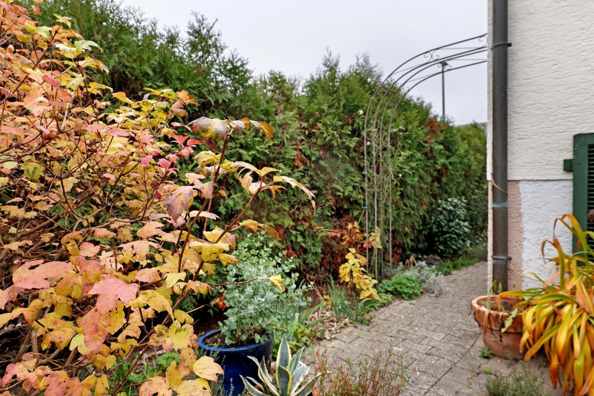 Sleep And Go Bed and Breakfast Mundelsheim Exteriör bild